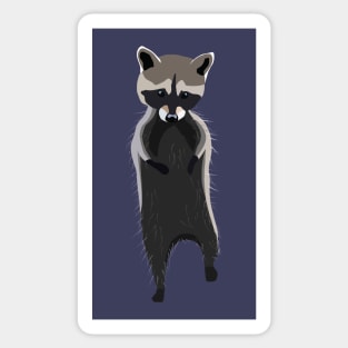 Cute Raccoon Illustration Sticker